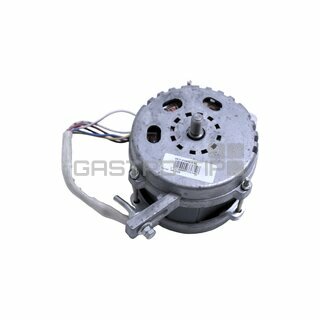 Motor NS 250