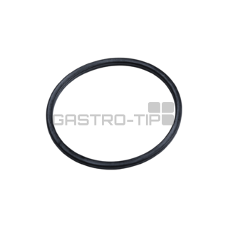 Manzeta 94,62x5,33 4343-366Y SEY 1059157