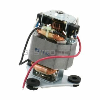 Motor WSG30 029756