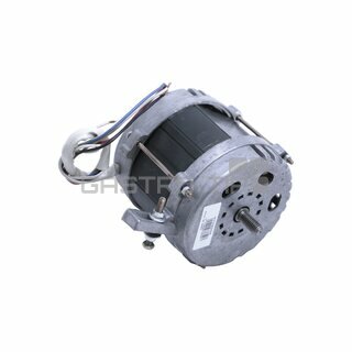 Motor NS 300ES