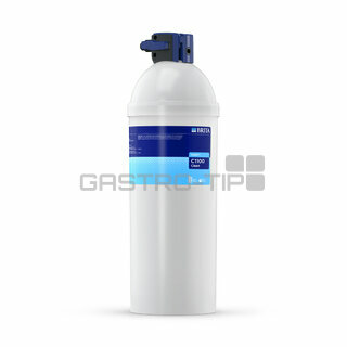 Filtr PURITY C1100 (30%)