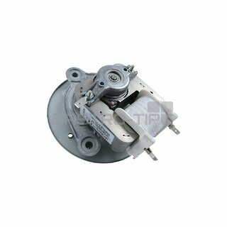 Motor 220-240V 55W