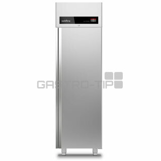 Coldline LEVTRONIC A55/1BFH (-20°C/+40°C) 20x EN60x40