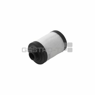 Filtr RIETSCHLE VGD 15 (731 399 0000)